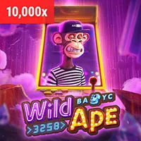 Kiểm tra thực tế và lịch sử giao dịch BMWbet Casino