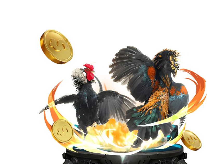 Hỗ trợ khách hàng bmwbet casino