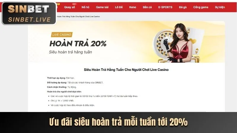 Ưu đãi độc quyền cho sòng bạc trực tuyến tại bmwbet casino
